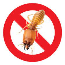 Termite Control